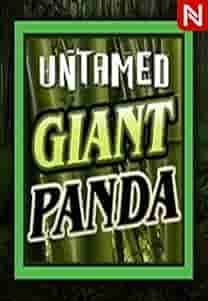 Untamed - Giant Panda